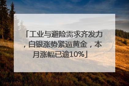 工业与避险需求齐发力，白银涨势紧逼黄金，本月涨幅已逾10%