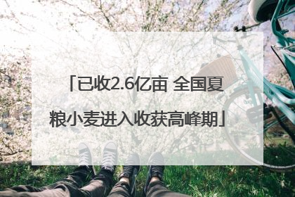 已收2.6亿亩 全国夏粮小麦进入收获高峰期