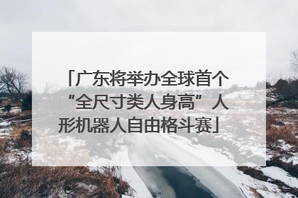 广东将举办全球首个“全尺寸类人身高”人形机器人自由格斗赛