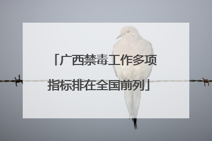 广西禁毒工作多项指标排在全国前列