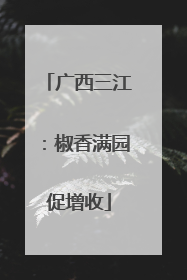 广西三江：椒香满园促增收