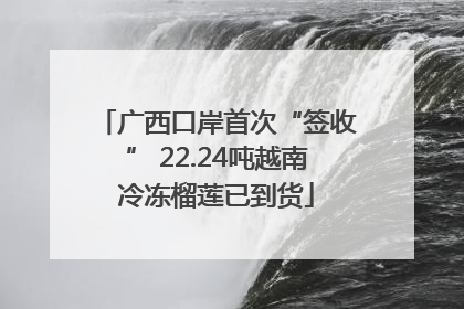 广西口岸首次“签收” 22.24吨越南冷冻榴莲已到货