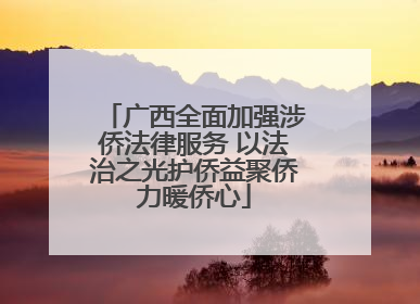 广西全面加强涉侨法律服务 以法治之光护侨益聚侨力暖侨心