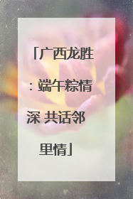 广西龙胜：端午粽情深 共话邻里情