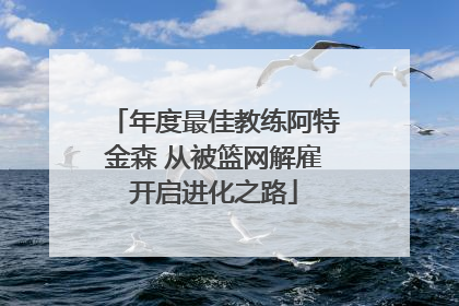 年度最佳教练阿特金森 从被篮网解雇开启进化之路