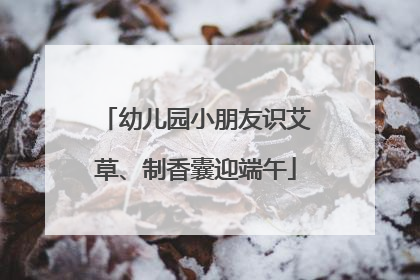 幼儿园小朋友识艾草、制香囊迎端午