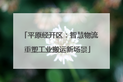 平原经开区：智慧物流重塑工业搬运新场景