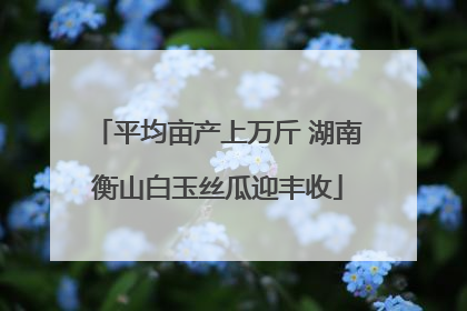 平均亩产上万斤 湖南衡山白玉丝瓜迎丰收