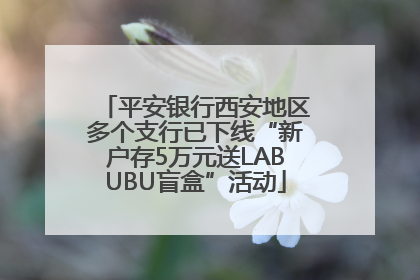 平安银行西安地区多个支行已下线“新户存5万元送LABUBU盲盒”活动