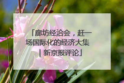 廊坊经洽会，赶一场国际化的经济大集｜新京报评论