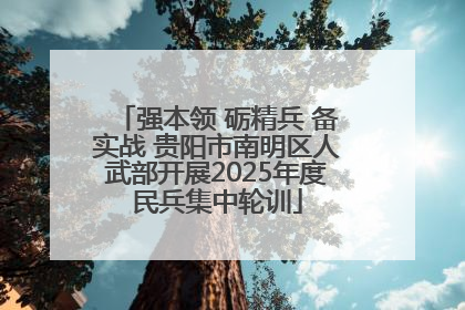 强本领 砺精兵 备实战 贵阳市南明区人武部开展2025年度民兵集中轮训