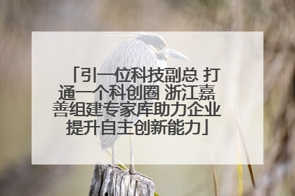 引一位科技副总 打通一个科创圈 浙江嘉善组建专家库助力企业提升自主创新能力
