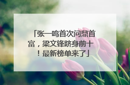 张一鸣首次问鼎首富，梁文锋跻身前十！最新榜单来了