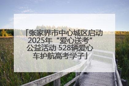 张家界市中心城区启动2025年“爱心送考”公益活动 528辆爱心车护航高考学子