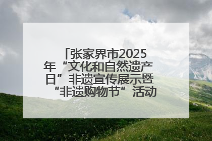 张家界市2025年“文化和自然遗产日”非遗宣传展示暨“非遗购物节”活动在慈利县盛大启幕