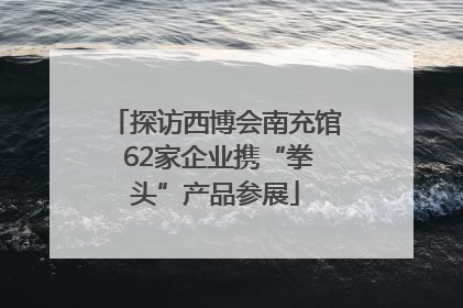 探访西博会南充馆 62家企业携“拳头”产品参展