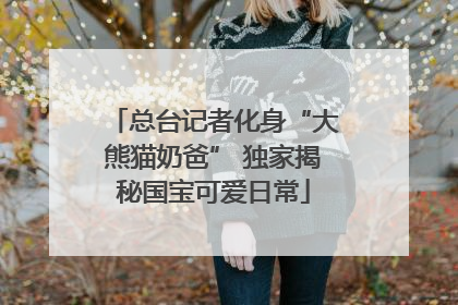 总台记者化身“大熊猫奶爸” 独家揭秘国宝可爱日常