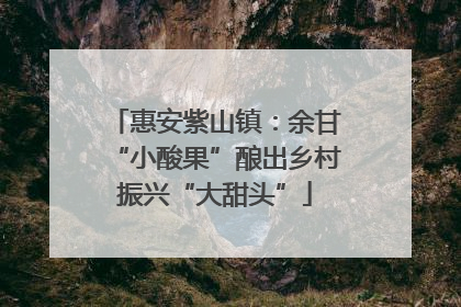 惠安紫山镇：余甘“小酸果”酿出乡村振兴“大甜头”