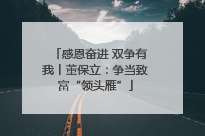 感恩奋进 双争有我丨董保立：争当致富“领头雁”