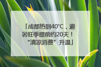 成都热到40℃，避暑旺季提前约20天！“清凉消费”升温