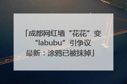 成都网红墙“花花”变“labubu”引争议 最新：涂鸦已被抹掉