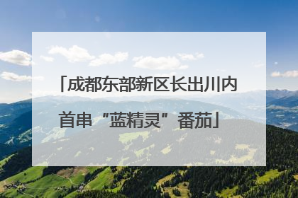 成都东部新区长出川内首串“蓝精灵”番茄