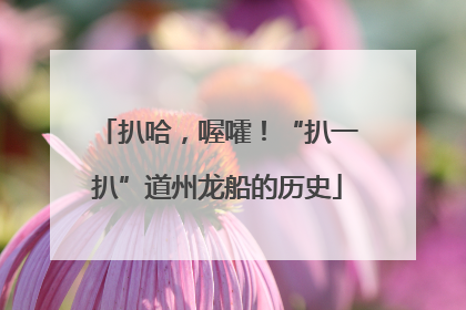 扒哈，喔嚯！“扒一扒”道州龙船的历史