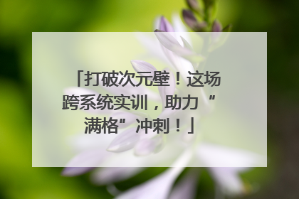 打破次元壁！这场跨系统实训，助力“满格”冲刺！