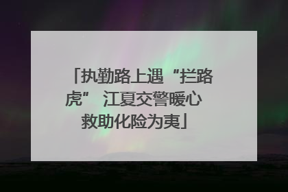 执勤路上遇“拦路虎” 江夏交警暖心救助化险为夷