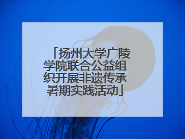 扬州大学广陵学院联合公益组织开展非遗传承暑期实践活动