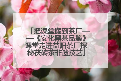 把课堂搬到茶厂——《安化黑茶品鉴》课堂走进益阳茶厂探秘茯砖茶非遗技艺