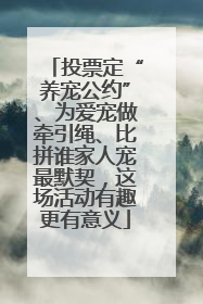 投票定“养宠公约”、为爱宠做牵引绳、比拼谁家人宠最默契，这场活动有趣更有意义