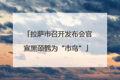 拉萨市召开发布会官宣黑颈鹤为“市鸟”
