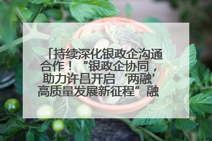 持续深化银政企沟通合作！“银政企协同，助力许昌开启‘两融’高质量发展新征程”融资对接会举行