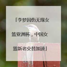 李梦因伤无缘女篮亚洲杯，中国女篮新老交替加速