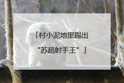 村小泥地里踢出“苏超射手王”