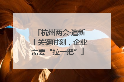 杭州两会·追新丨关键时刻，企业需要“拉一把”