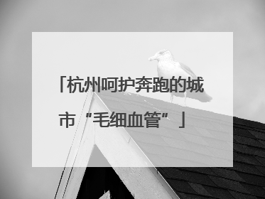 杭州呵护奔跑的城市“毛细血管”