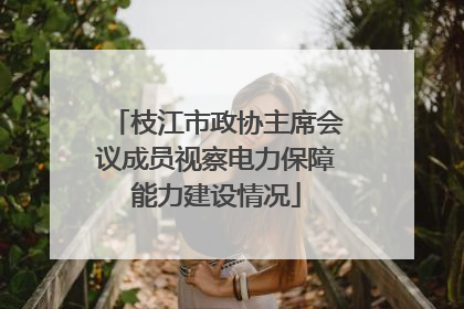 枝江市政协主席会议成员视察电力保障能力建设情况