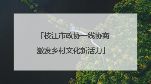 枝江市政协一线协商激发乡村文化新活力
