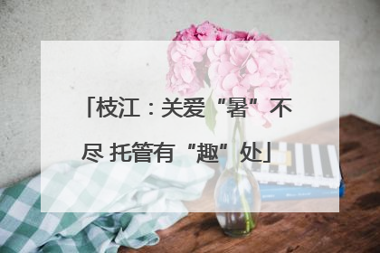 枝江：关爱“暑”不尽 托管有“趣”处