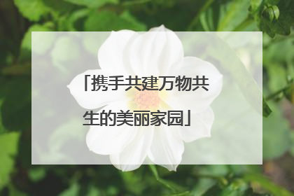 携手共建万物共生的美丽家园