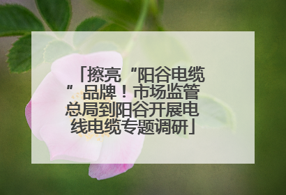 擦亮“阳谷电缆”品牌！市场监管总局到阳谷开展电线电缆专题调研