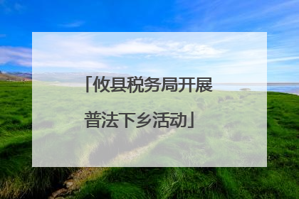攸县税务局开展普法下乡活动