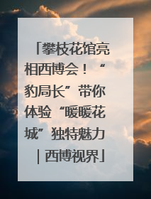 攀枝花馆亮相西博会！“豹局长”带你体验“暖暖花城”独特魅力｜西博视界