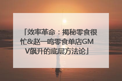 效率革命：揭秘零食很忙&赵一鸣零食单店GMV飙升的底层方法论