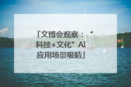 文博会观察：“科技+文化”AI应用场景吸睛