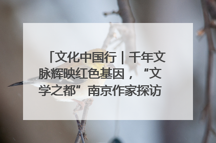 文化中国行｜千年文脉辉映红色基因，“文学之都”南京作家探访中国龙虾之都盱眙