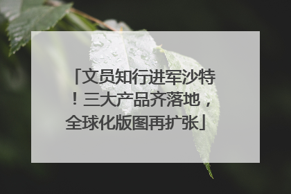 文员知行进军沙特！三大产品齐落地，全球化版图再扩张