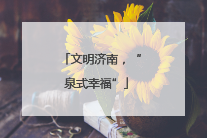 文明济南，“泉式幸福”